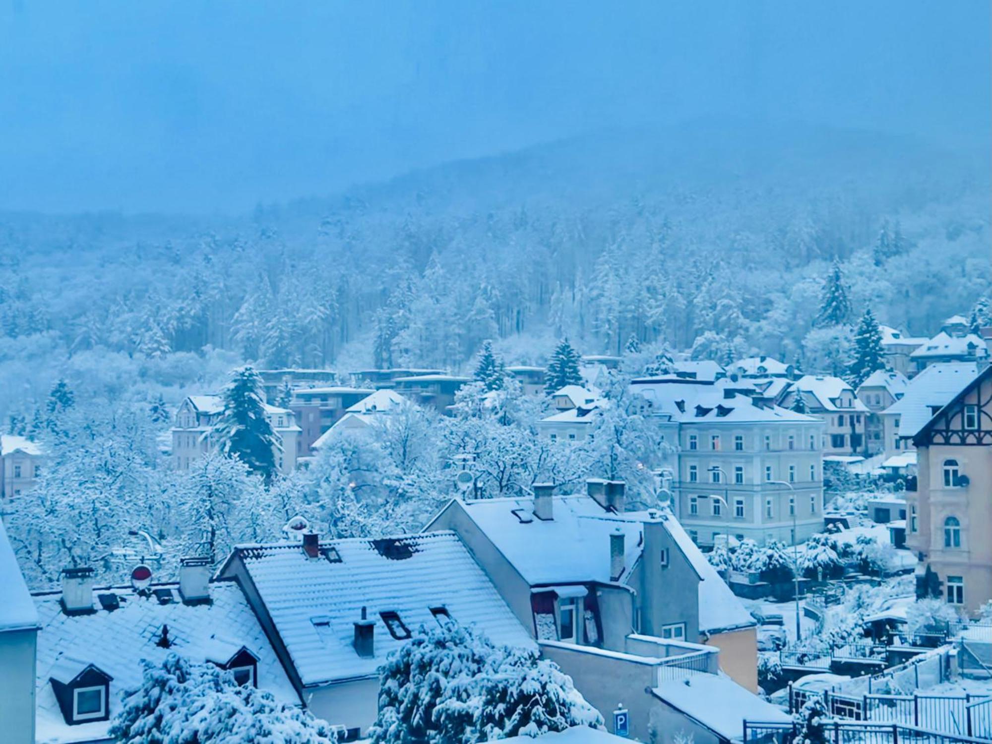Artflora Kv Premium Apartment Karlovy Vary Bagian luar foto
