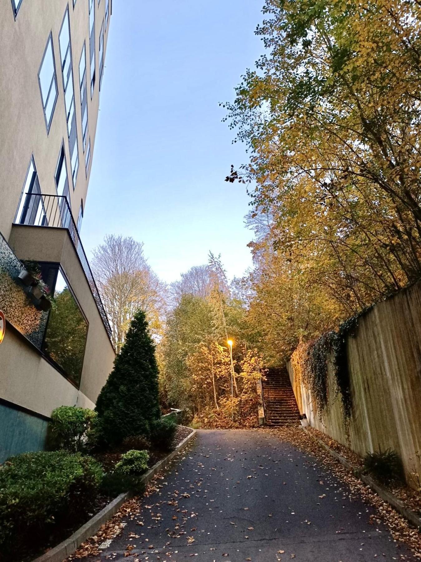 Artflora Kv Premium Apartment Karlovy Vary Bagian luar foto
