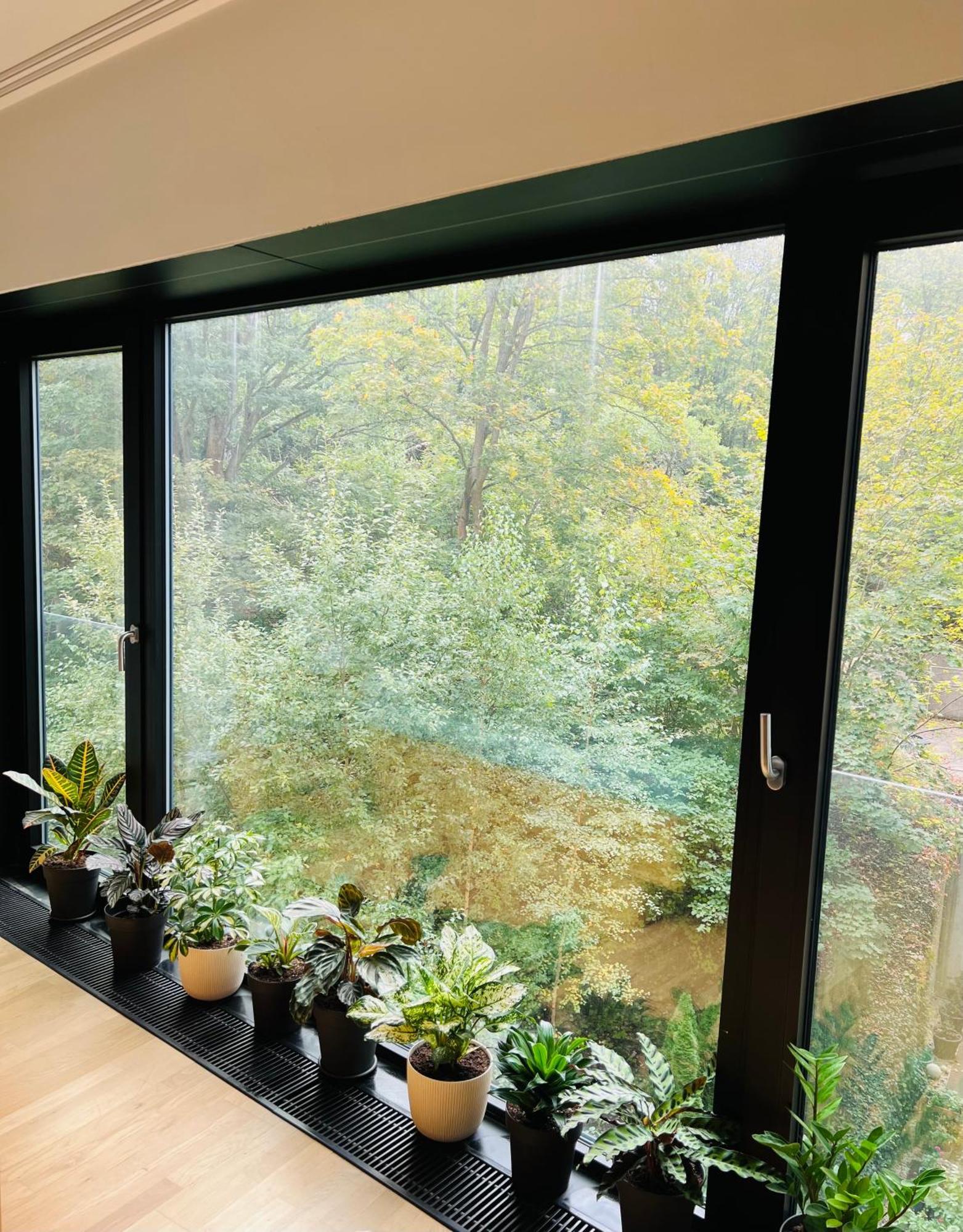 Artflora Kv Premium Apartment Karlovy Vary Bagian luar foto