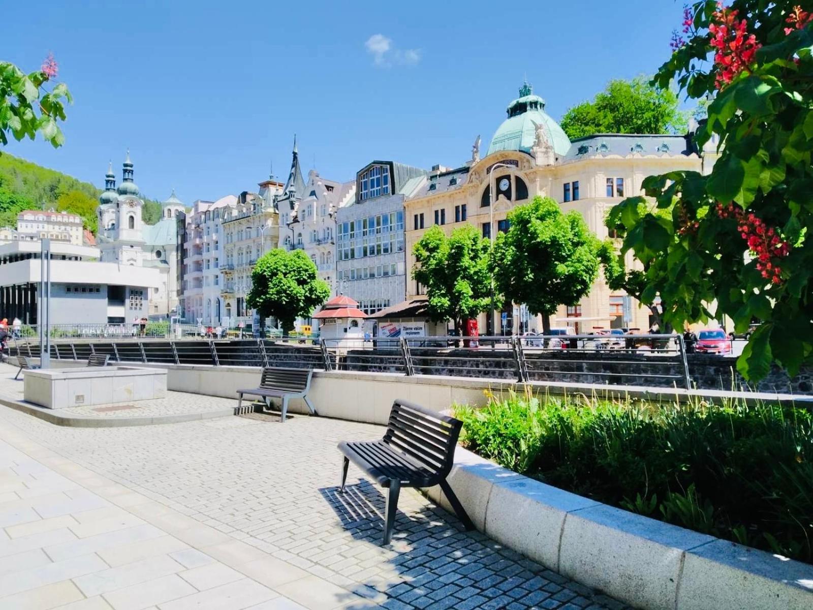 Artflora Kv Premium Apartment Karlovy Vary Bagian luar foto